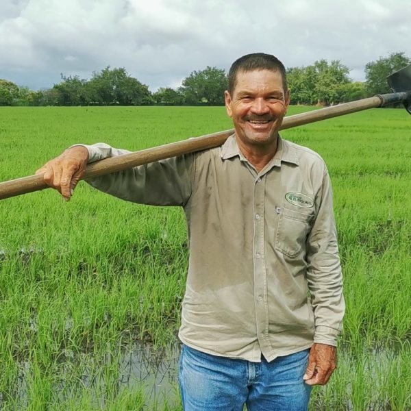 Servicios - -Agricultor